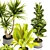 Premium Indoor Plant Collection 3D 3D model small image 5