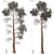 Jeffrey Pine Tree Variety Pack 3D model small image 3