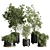 Concrete Vase Indoor Plant Set 3D model small image 1