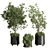 Concrete Vase Indoor Plant Set 3D model small image 2