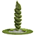 Pruned Concinna Bonsai Tree Model 3D model small image 1