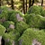 Mossy Rock Scatter Collection 3D 3D model small image 9