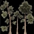 Jeffrey Pine Tree 3D Collection 3D model small image 3