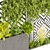 Urban Plant Collection - Premium Quality 3D model small image 5