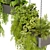 Pothos Ampelous Hanging Plant Model 3D model small image 3