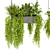Pothos Ampelous Hanging Plant Model 3D model small image 5