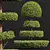 Nerve Plant Fittonia Bonsai Tree 3D model small image 2