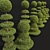 Nerve Plant Fittonia Bonsai Tree 3D model small image 3