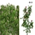 Blooming Dog Rose Field Model 3D model small image 1