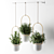 Hanging Pot Cactus Stand 3D model small image 5