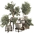 Olive Bonsai Tree Collection Set 3D model small image 1