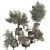 Olive Bonsai Tree Collection Set 3D model small image 2