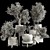 Olive Bonsai Tree Collection Set 3D model small image 7