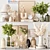 Elegant Decor Set for Rendering 3D model small image 1