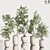 Contemporary Indoor Plant Set 3D model small image 1
