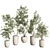 Contemporary Indoor Plant Set 3D model small image 2