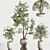 Contemporary Indoor Plant Set 3D model small image 3