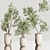 Contemporary Indoor Plant Set 3D model small image 4