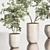 Contemporary Indoor Plant Set 3D model small image 6