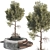Botanical Outdoor Plant Set 3D 3D model small image 2