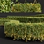 Waxyleaf Privet Plant Models 3D model small image 3