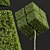Waxy Leaf Privet Plant Model 3D model small image 2