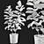 Rubber Plant 3D Model Kit 3D model small image 5