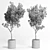 Rustic Olive Tree Concrete Vase 3D model small image 7