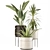 Exotic Indoor Plant Set 3D model small image 1