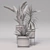 Exotic Indoor Plant Set 3D model small image 2