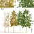 Quaking Aspen Tree Collection 3D model small image 1