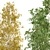 Quaking Aspen Tree Collection 3D model small image 2