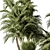 Tropical Outdoor Plant 459 3D model small image 2