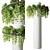 Hanging Epipremnum Plant Column 3D model small image 1