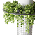 Hanging Epipremnum Plant Column 3D model small image 2