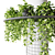 Hanging Epipremnum Plant Column 3D model small image 3