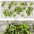 Premium Botanical Collection - Voluminous Vertical Plant 3D model small image 1