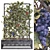 Grape Tree Flower Box 01 - 3D Model Kit 3D model small image 1