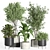 Modern Indoor Plant Set Eco-Friendly 3D model small image 1