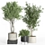 Modern Indoor Plant Set Eco-Friendly 3D model small image 2