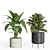 Modern Indoor Plant Set Eco-Friendly 3D model small image 3