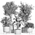 Modern Indoor Plant Set Eco-Friendly 3D model small image 4