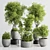 Concrete Indoor Plant Set 303 3D model small image 1