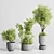 Concrete Indoor Plant Set 303 3D model small image 2