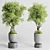 Concrete Indoor Plant Set 303 3D model small image 3