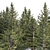 Spruce Forest 3D Model Render 3D model small image 2