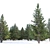 Spruce Forest 3D Model Render 3D model small image 3