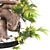 Grape Bonsai 3D Model Kit 3D model small image 4