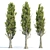 PBR Poplar Trees Collection Vol.145 3D model small image 3