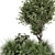 Outdoor Garden Bush Tree Set 3D model small image 4